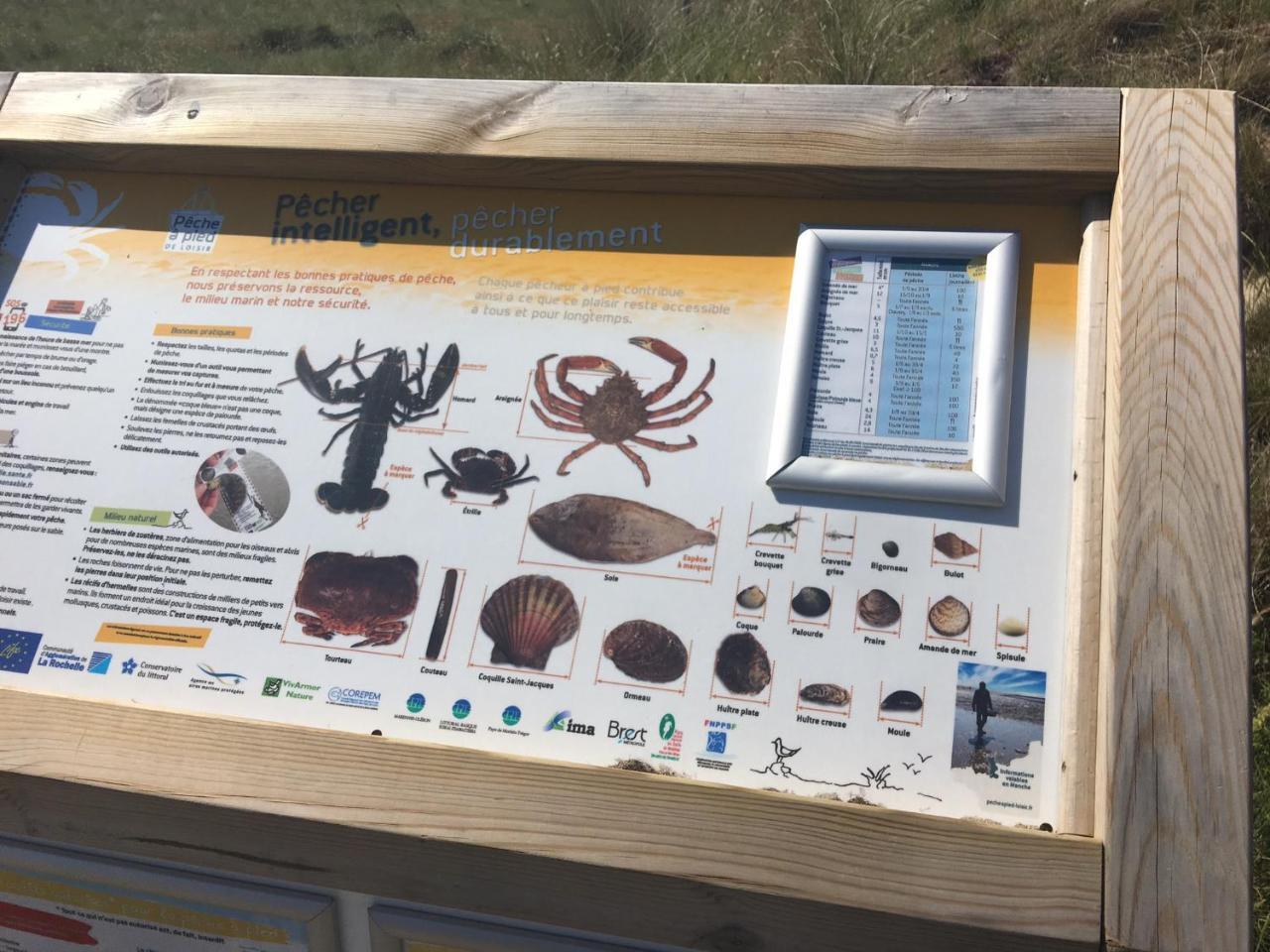 Camping Les Carolins Saint-Lo-d'Ourville المظهر الخارجي الصورة